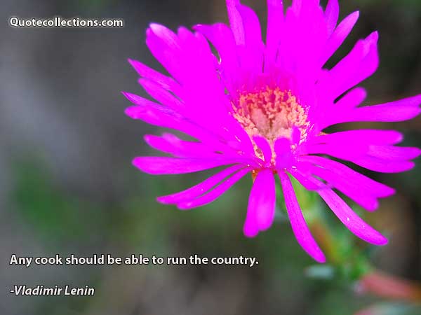 Vladimir Lenin Quotes4